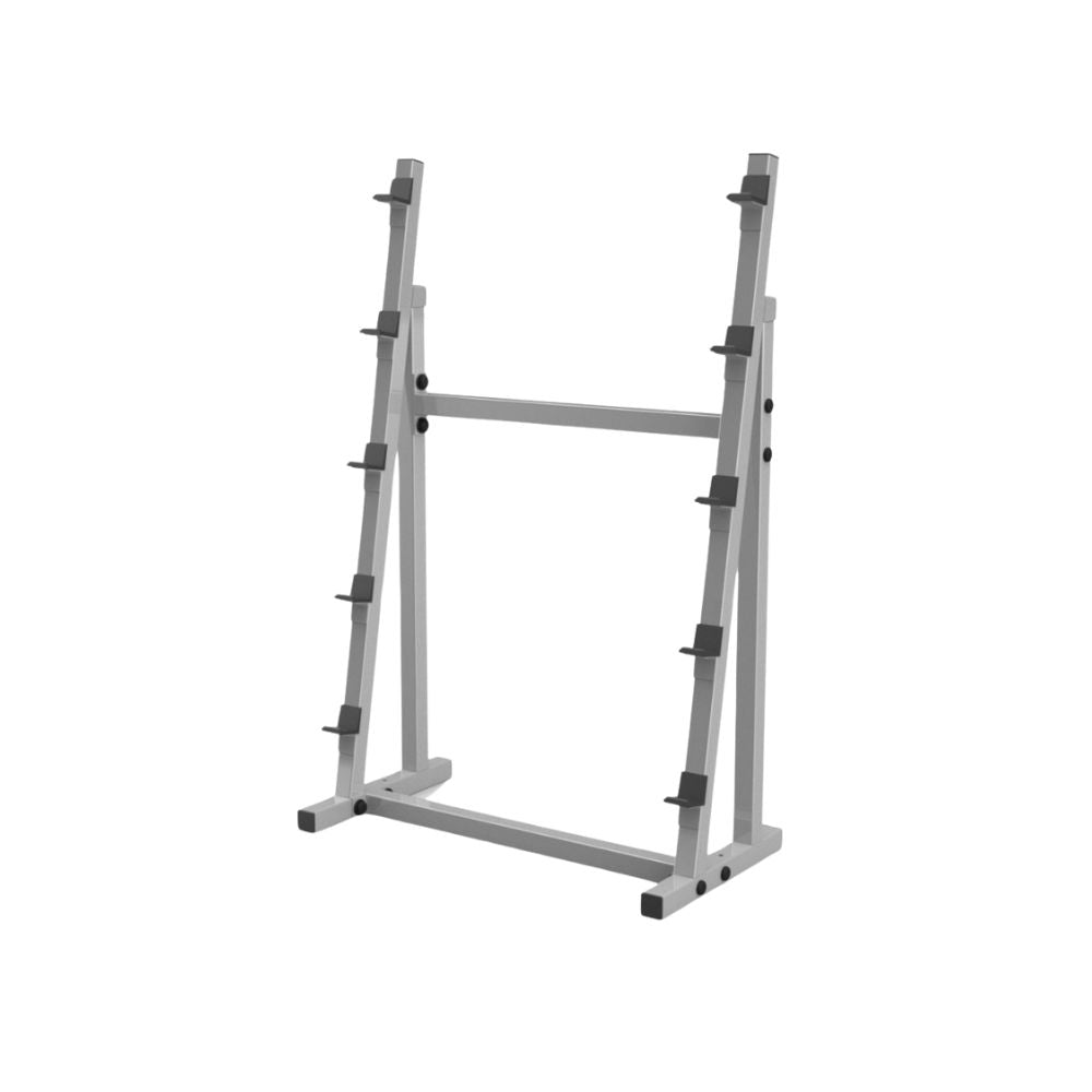 horizontal fixed barbell rack gym equipment