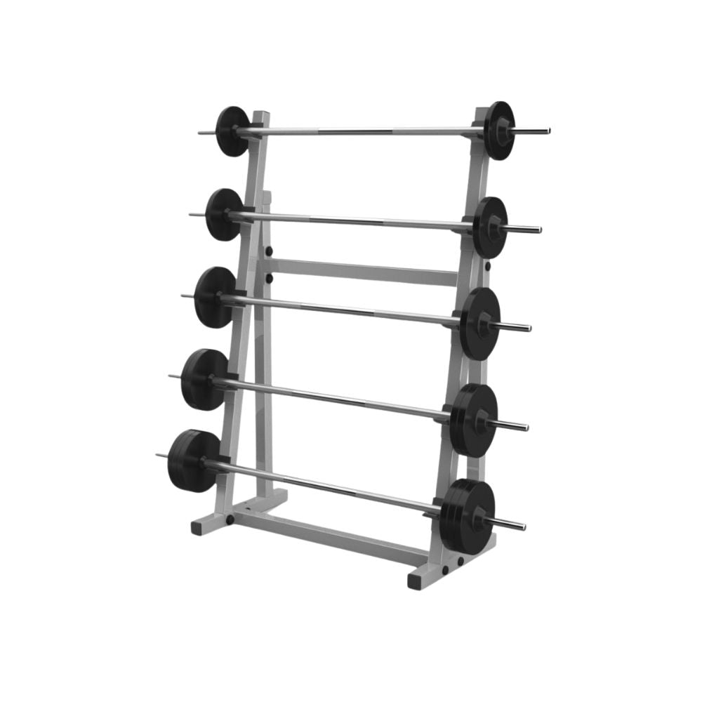 horizontal fixed barbell rack gym equipment - silver - with barbells