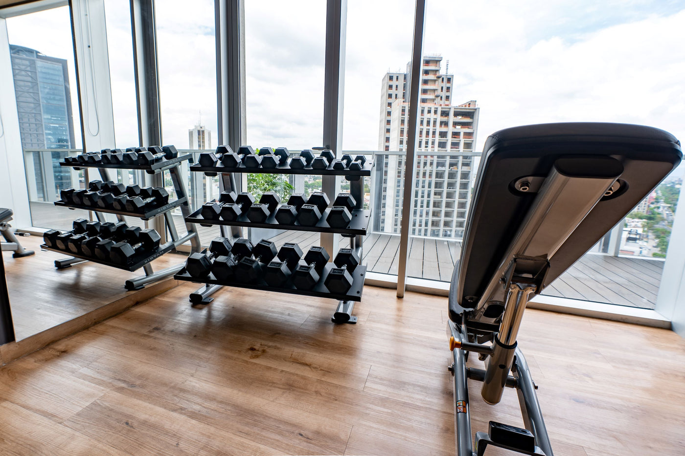 matrix dumbbell rack adjustable bench incline