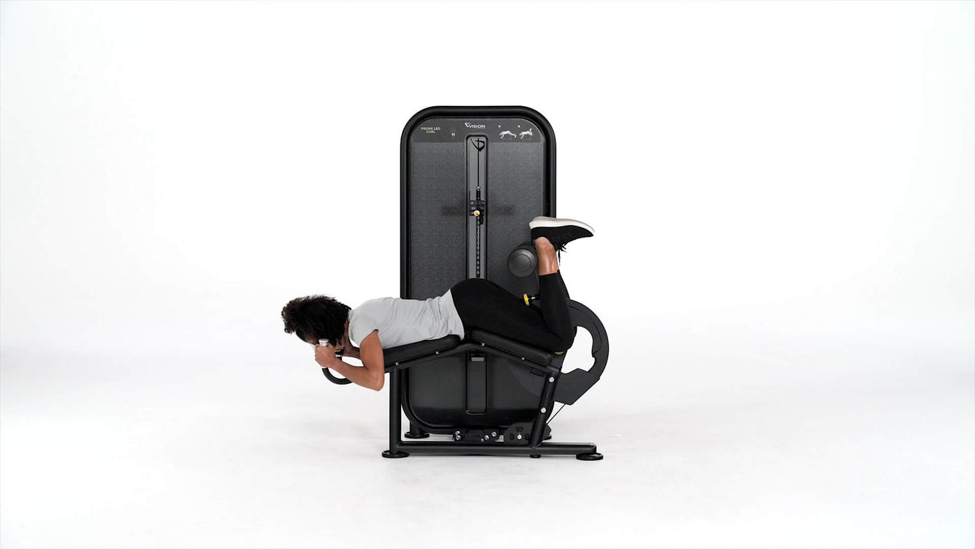 vision fitness selectorized movements - leg curl