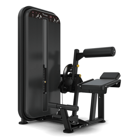 Vision Ab Low Back Pin Loaded Machine - transparent background