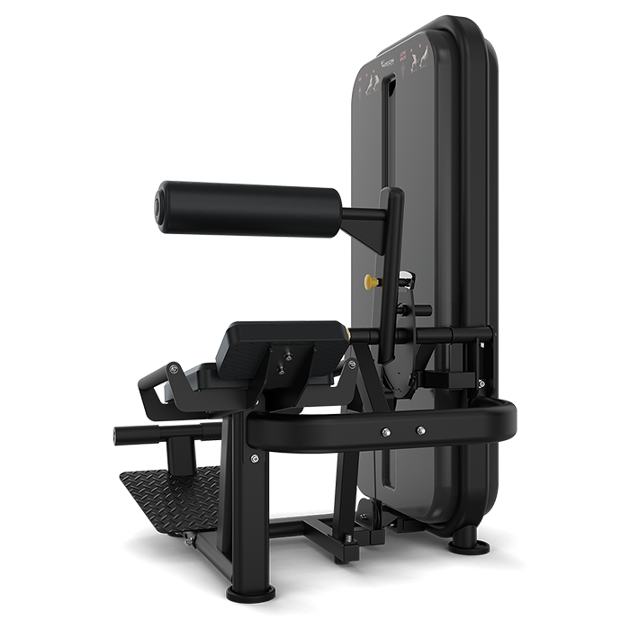 Vision Ab Low Back Pin Loaded Machine - transparent background