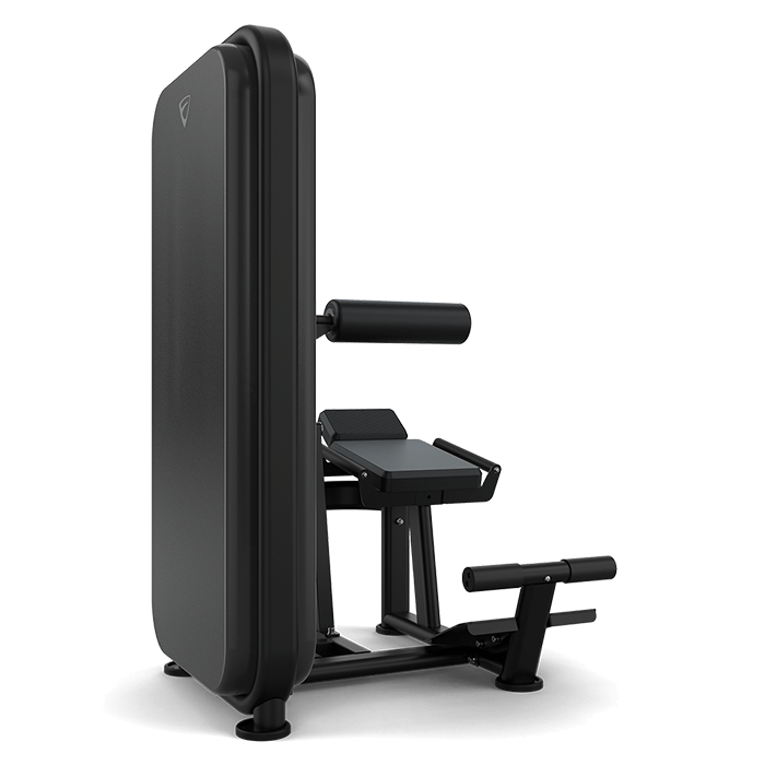 Vision Ab Low Back Pin Loaded Machine - transparent background