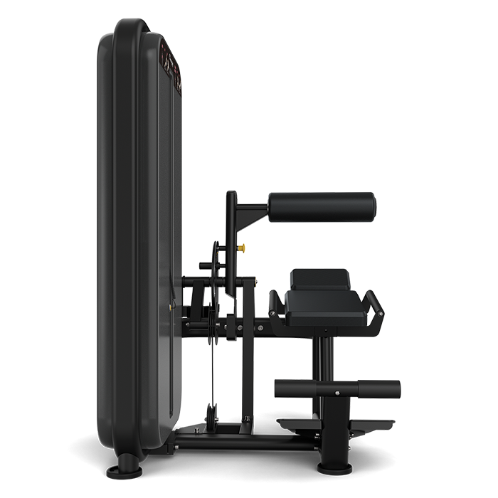 Vision Ab Low Back Pin Loaded Machine - transparent background