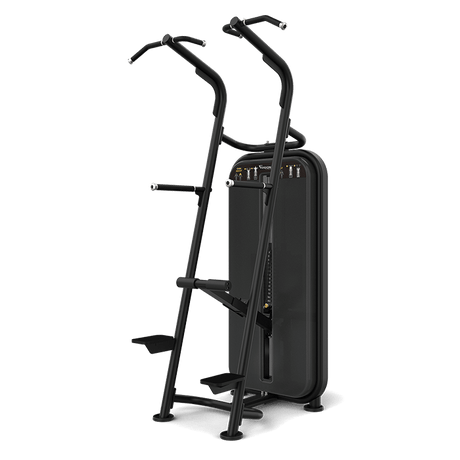 vision fitness pin loaded strength equipment - pullup