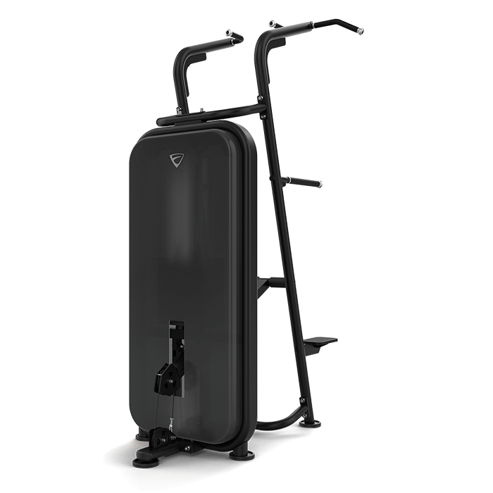 vision fitness pin loaded strength equipment - pullup