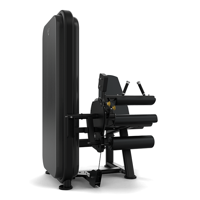 vision fitness leg extension machine - pin loaded machine 2