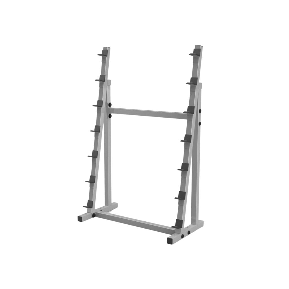 Horizontal Fixed Barbell Racks – Johnson Fitness Australia