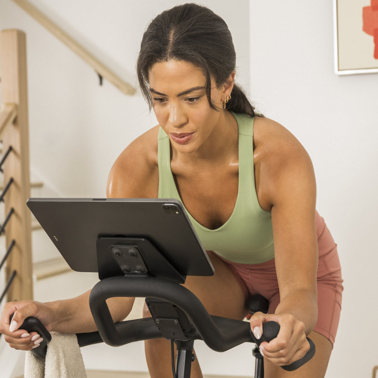 Schwinn IC3.5-21 Indoor Cycle