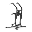 Vision fitness vertical knee raise 