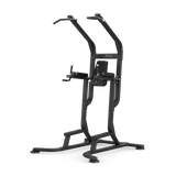 Vision fitness vertical knee raise 