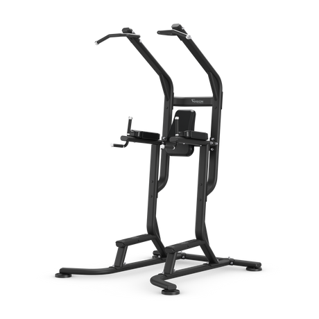 Vision fitness vertical knee raise 