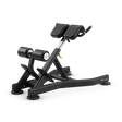 Vision Fitness Back Extension PNG 