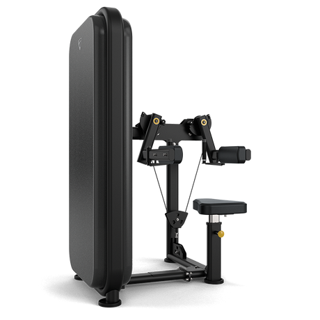 Vision Fitness VST600-S21 Lateral Raise Machine - black - transparent background 