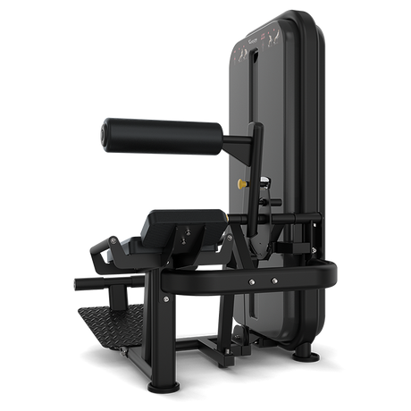 Vision Ab Low Back Pin Loaded Machine - transparent background 