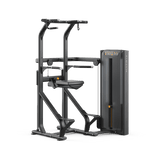 Matrix Versa Chin / Dip Assist (Reconditioned)