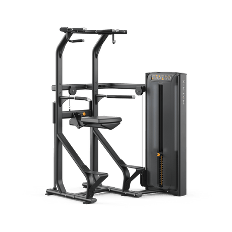 Matrix Versa Chin / Dip Assist (Reconditioned)