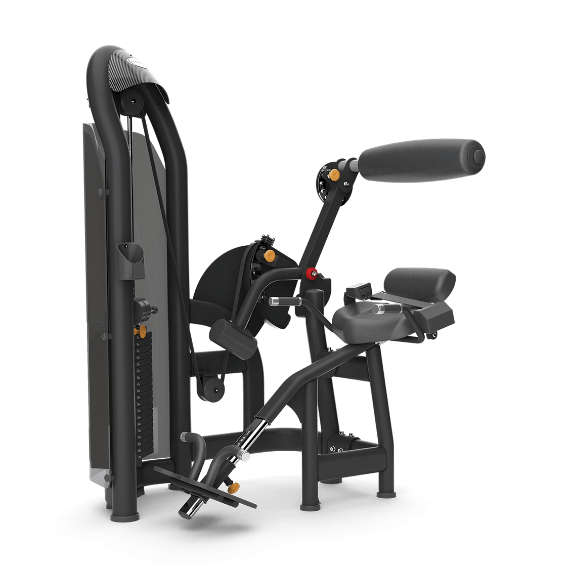 Matrix Aura Back Extension Johnson Fitness Australia